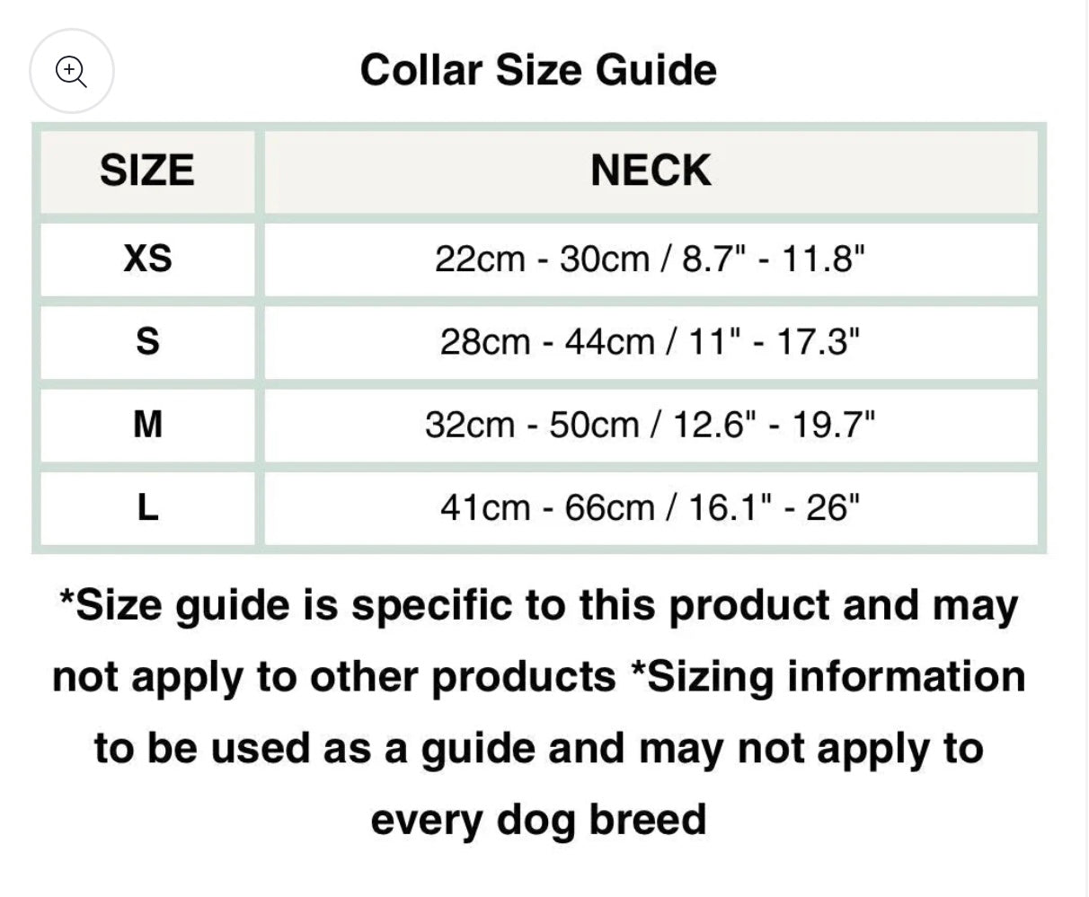 Pumpkin farm collar