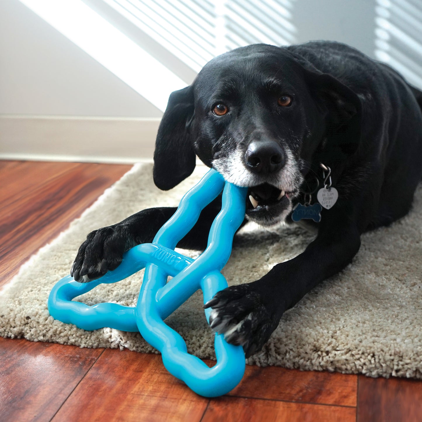 Kong flyangle