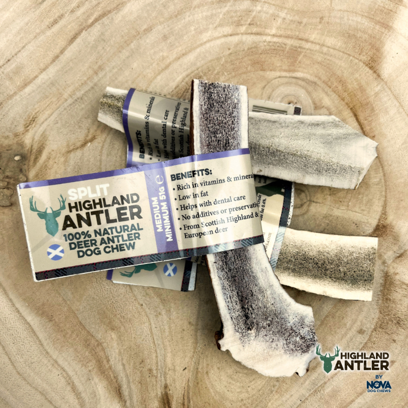 Split Antlers