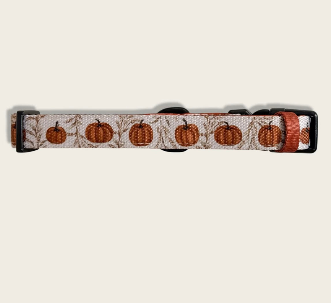 Pumpkin farm collar