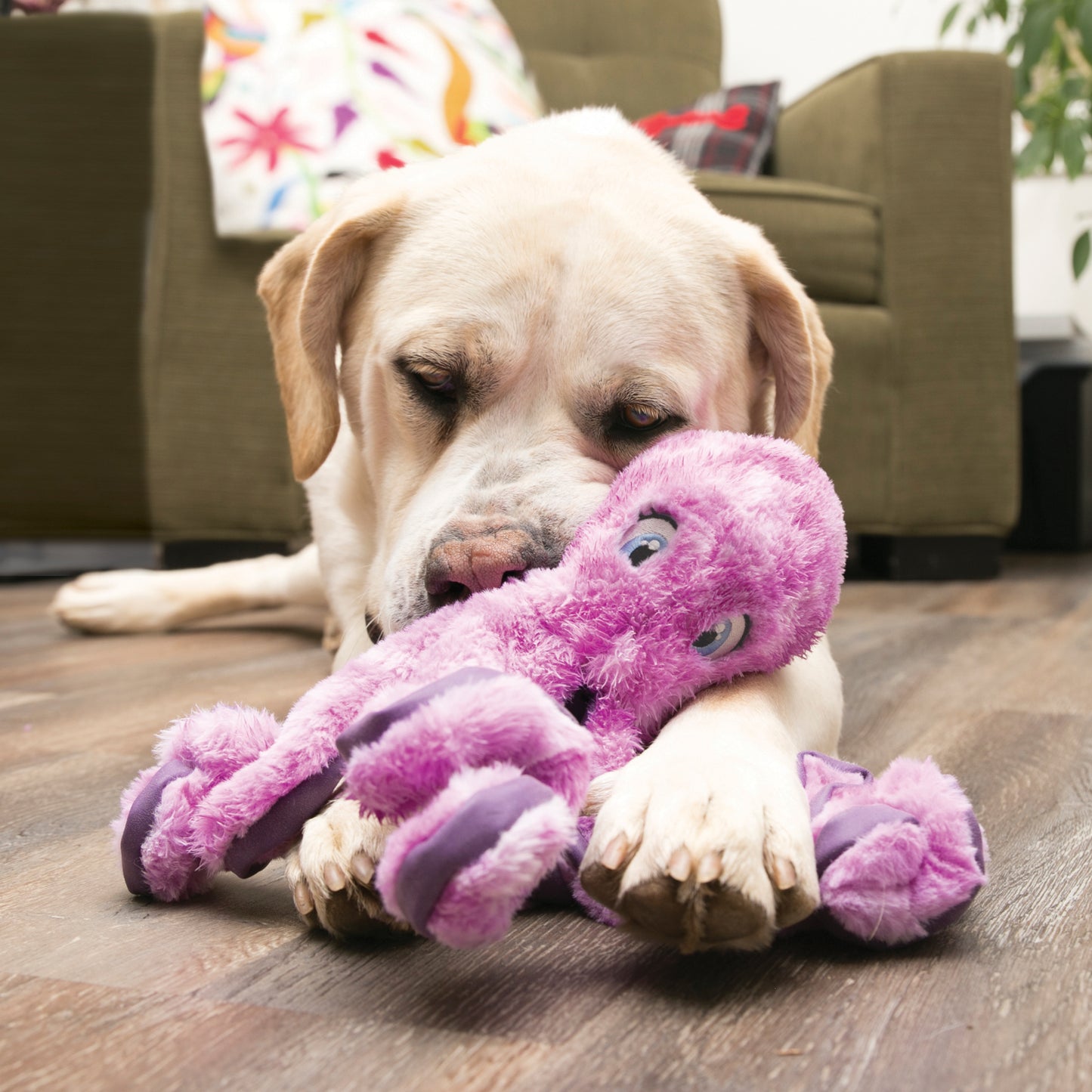Kong octopus