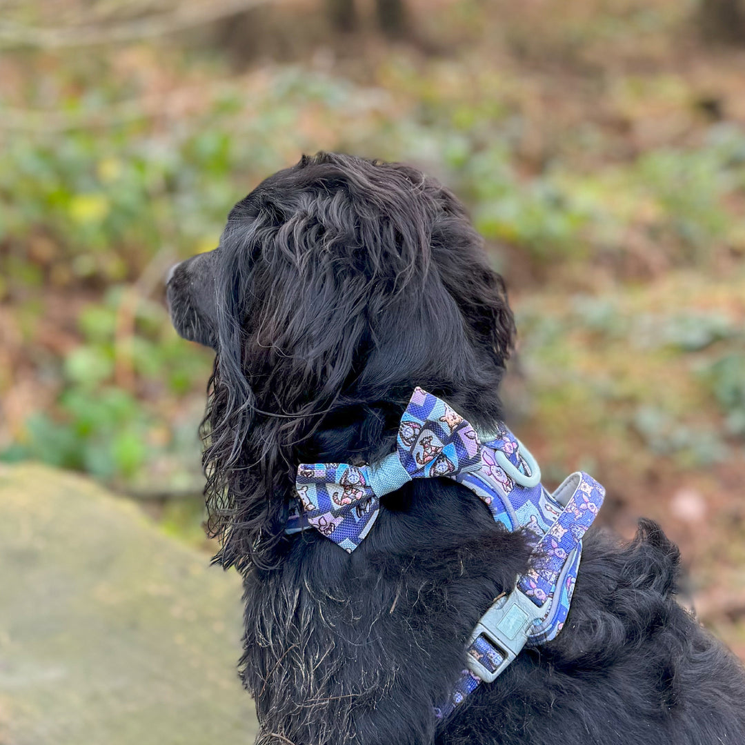 Disney© Bow Tie - Winnie & Friends