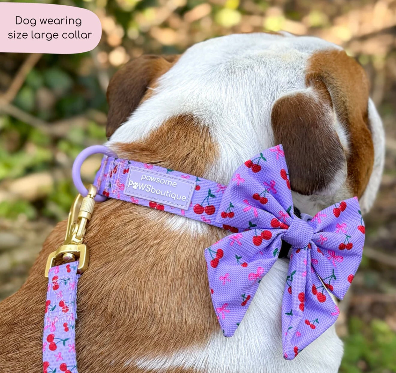 Cherry bomb collar