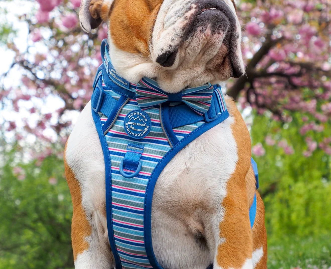 Sailor Stripes harness