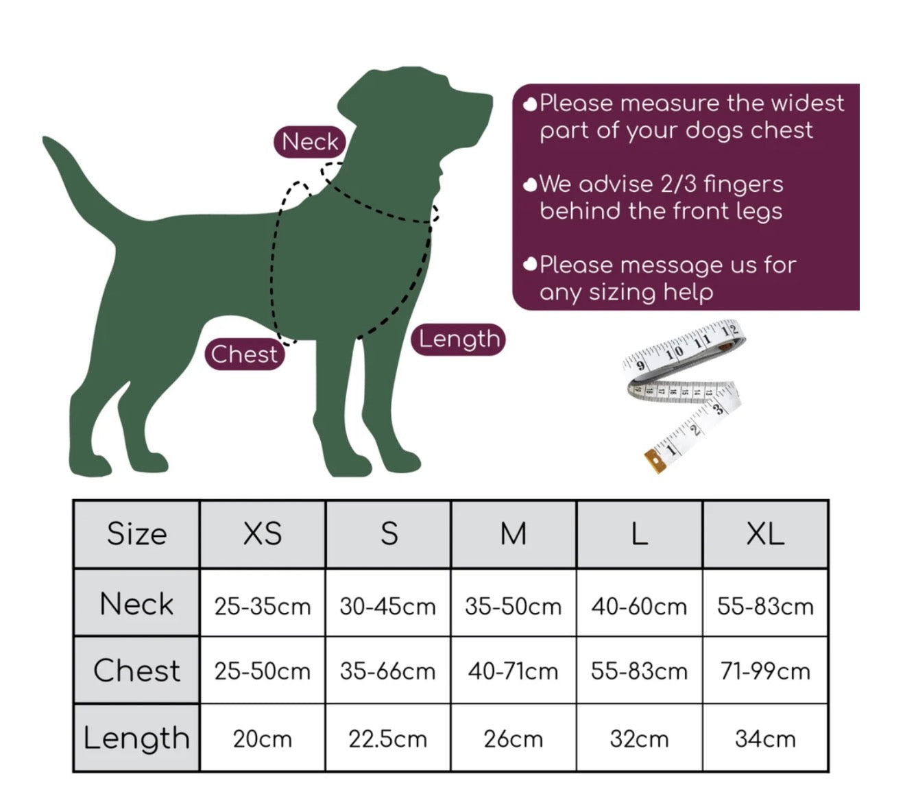 Paddington Tough Trails Harness