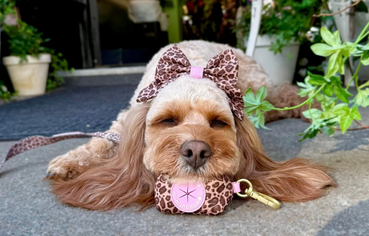 Leopard print poop bag holder