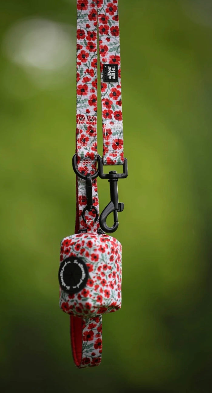 Painted poppies lead
