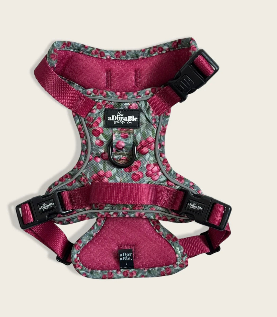 Crab Apple Cottage harness