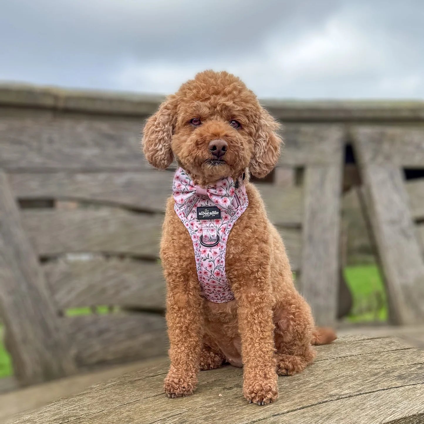 Blushing blossoms bow tie