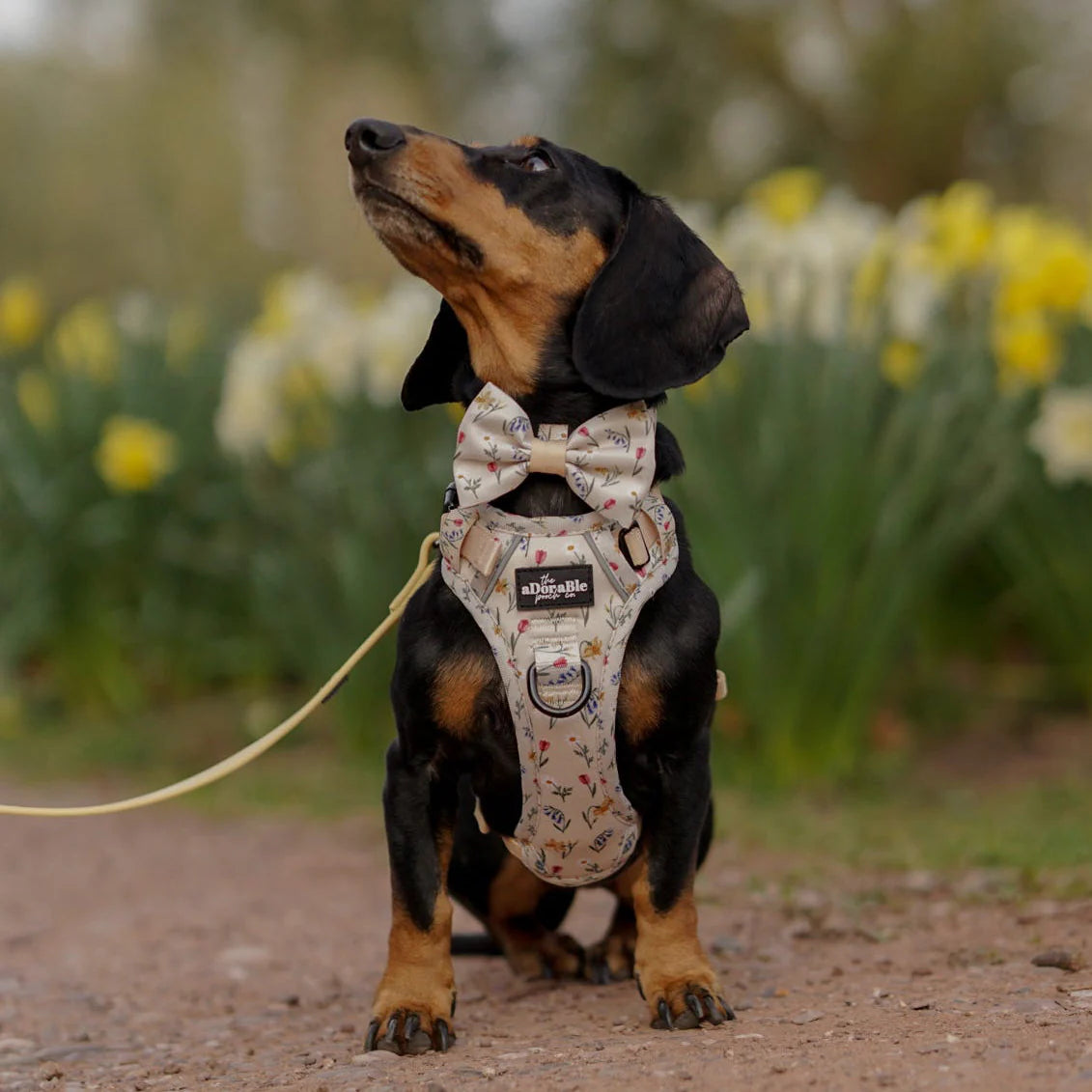 Spring Garden bow tie