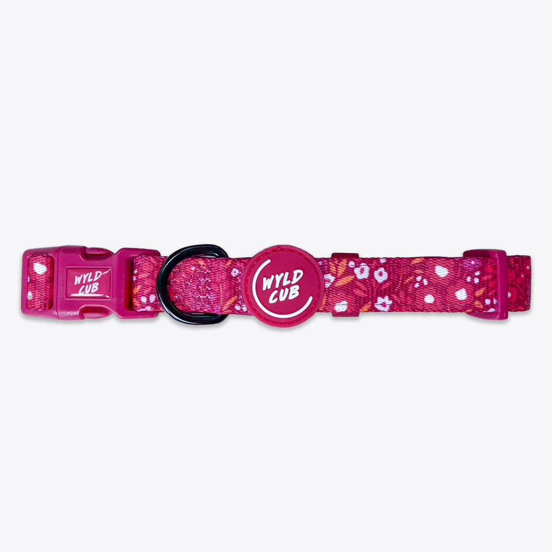 Notting Hill Raspberry collar