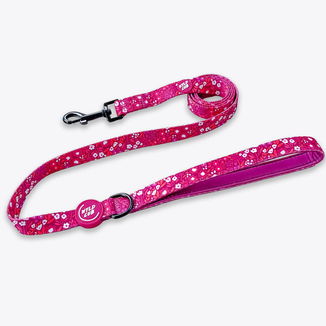 Notting Hill Raspberry Lead
