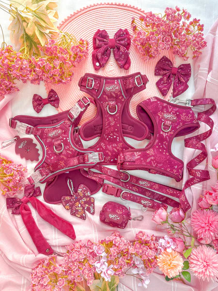 Chiswick Dragonfruit Bow tie