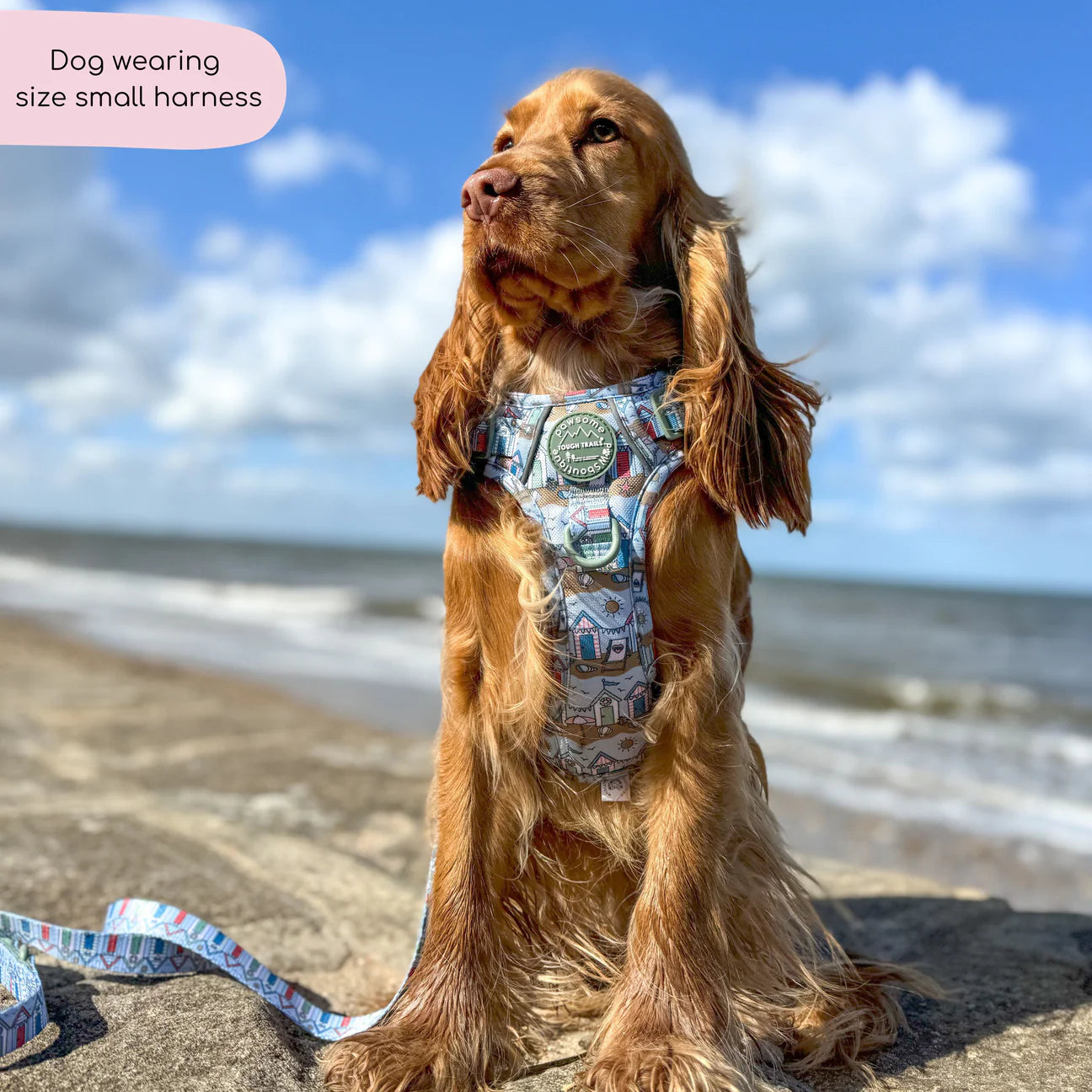 Sandy shores harness