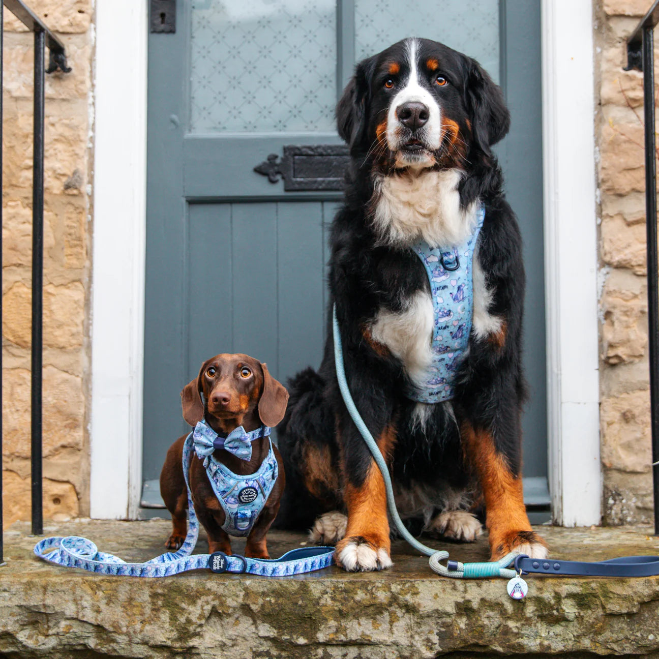 Eeyore harness