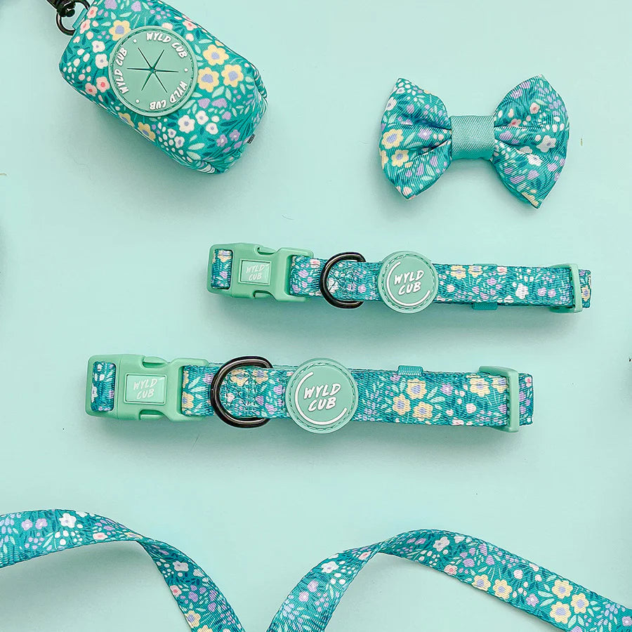 Notting Hill - Mint collar