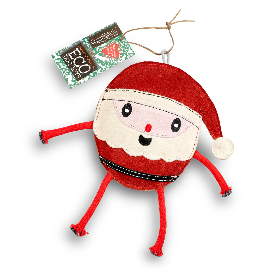 Green and wilds Santa