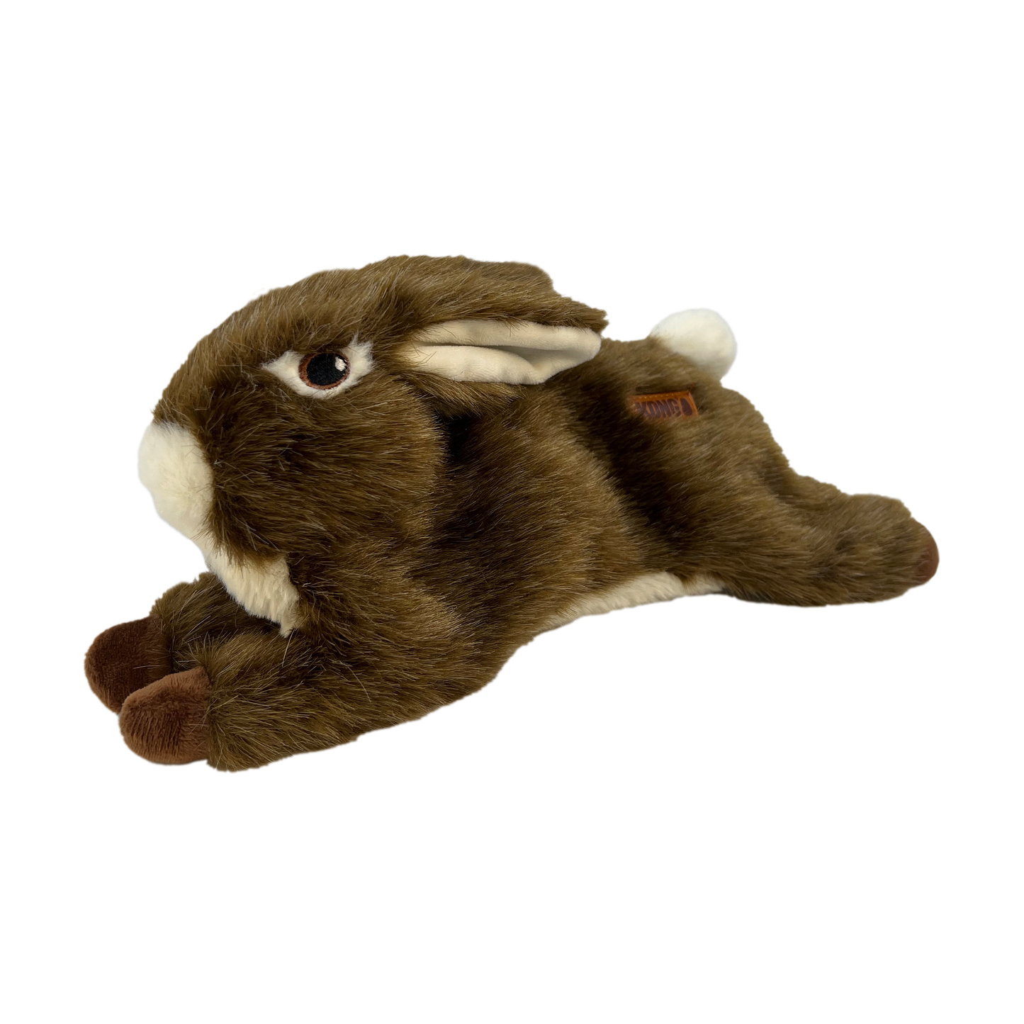 Kong wild rabbit