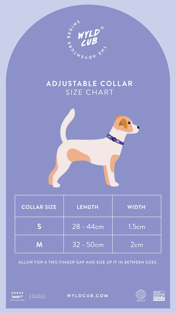collar Kew Celeste