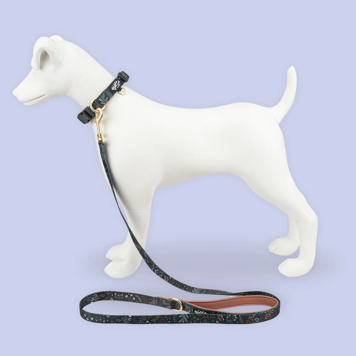 Ravenwood collar