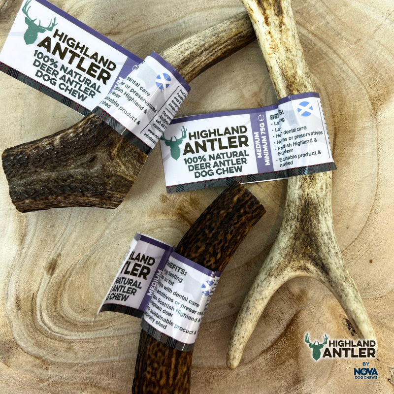 Antlers