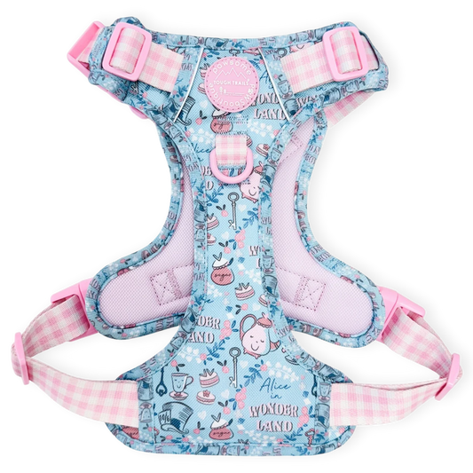 disney- Mad Hatters Tea Party- harness_