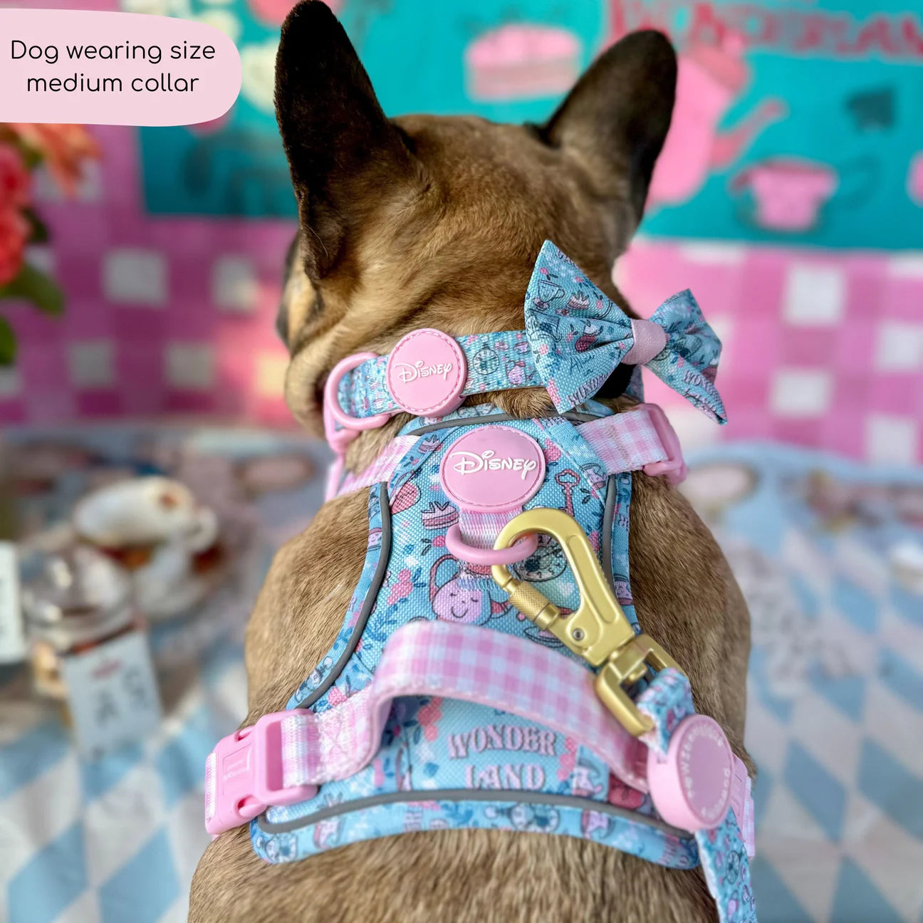 disney- Mad Hatters Tea Party- collar