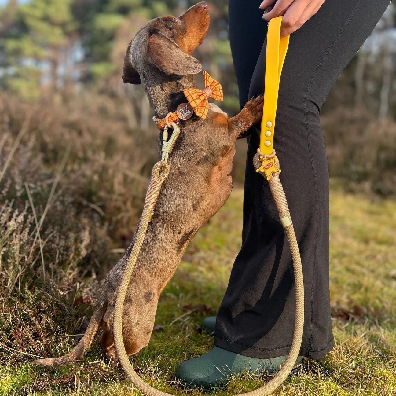 Disney- Woody-rope lead