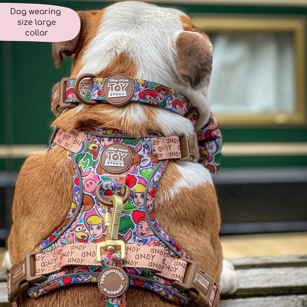 Disney-Toy Story Friends -collar