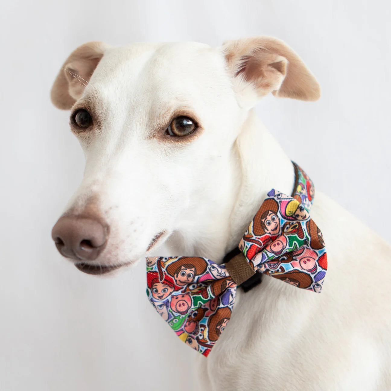 Disney- Toy Story Friends-bow tie
