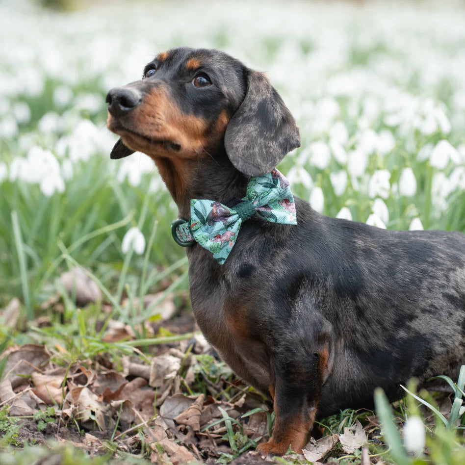 Disney Bow tie-jungle Book
