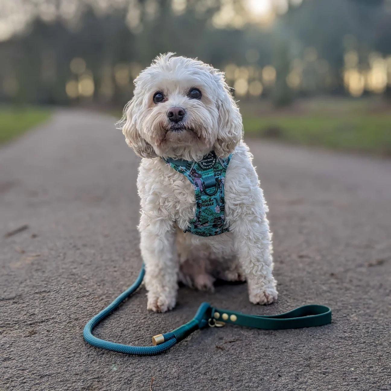 Disney rope lead- Jungle book