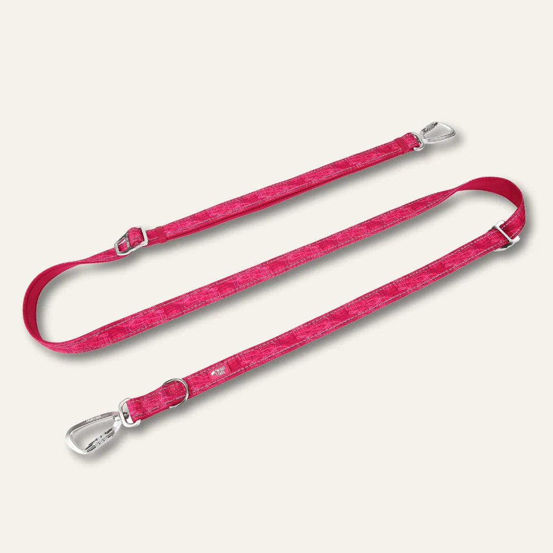 Sakura Multiway Lead