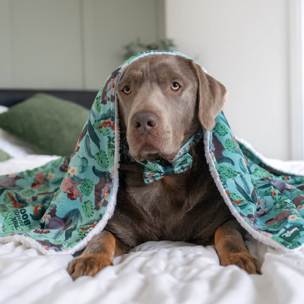 Jungle Book Blanket
