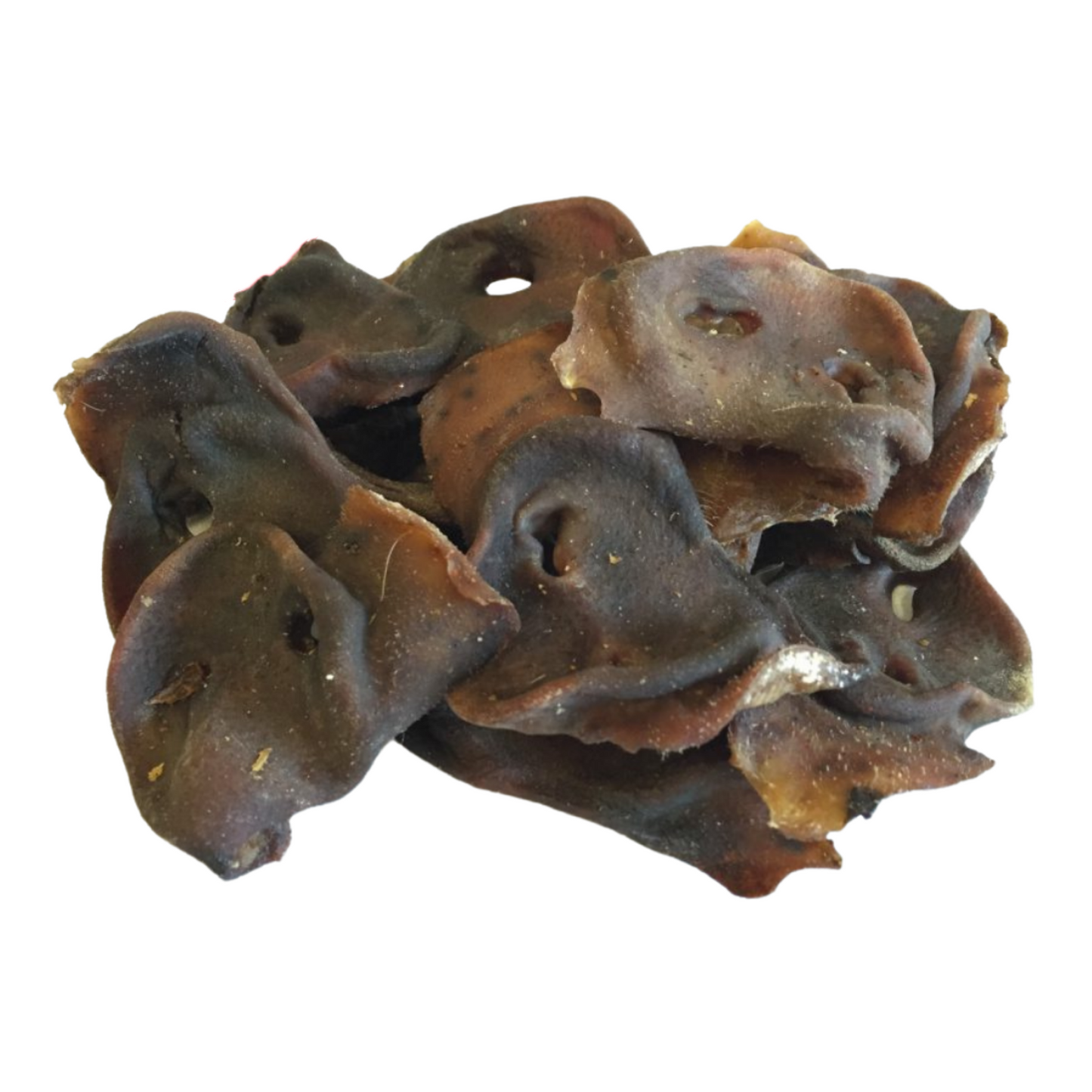 Pig Snout