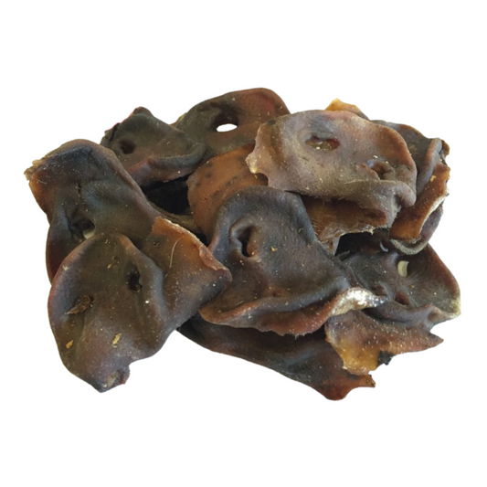 Pig Snout