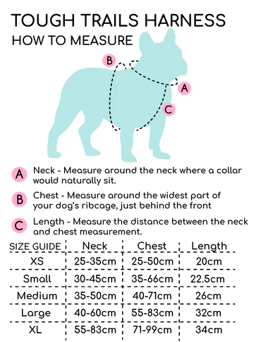 Tough Trails Harness - Dinky Dino