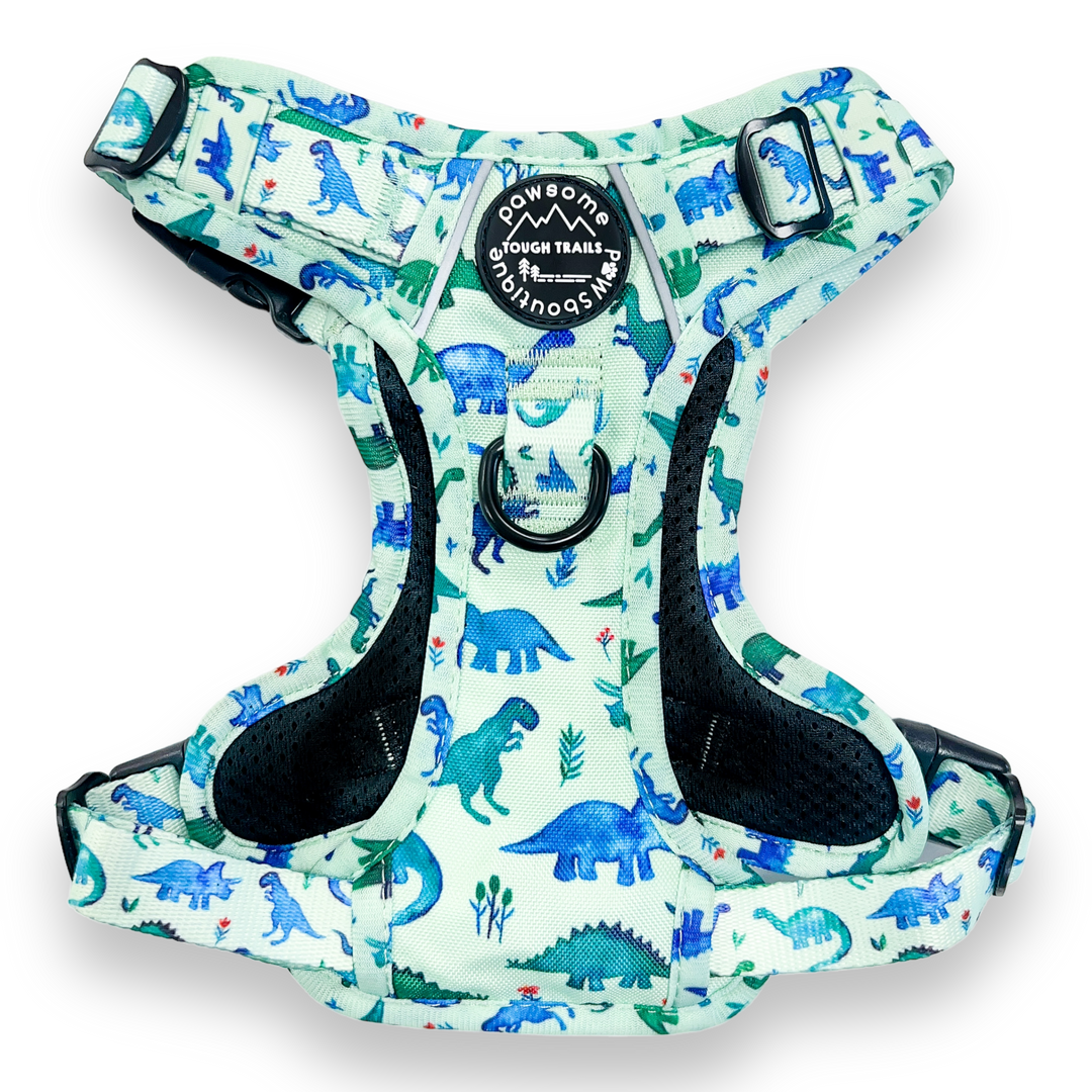 Tough Trails Harness - Dinky Dino