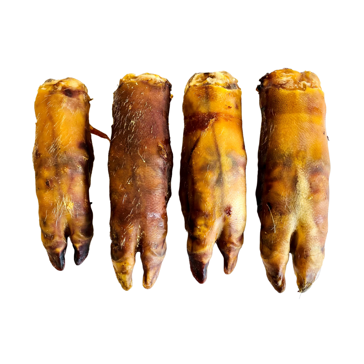 Pig Trotter