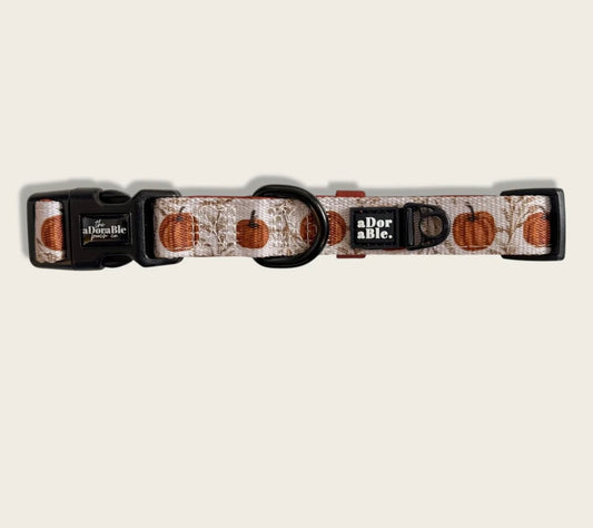 Pumpkin farm collar