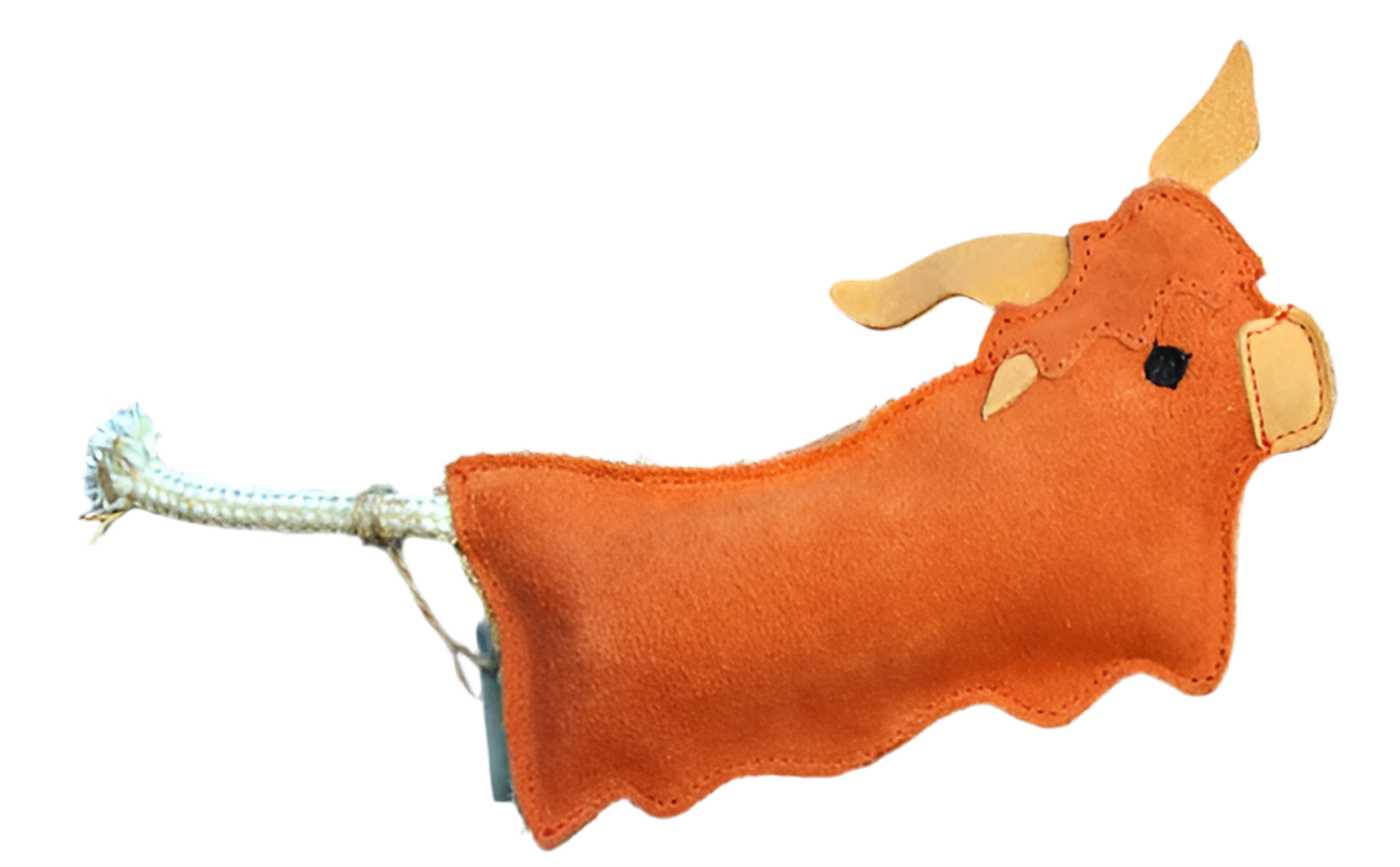 Hamish the highland cow