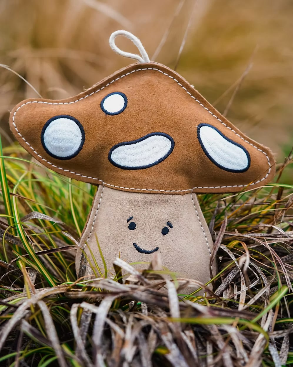 Chestnut the Mushroom Eco Dog Toy