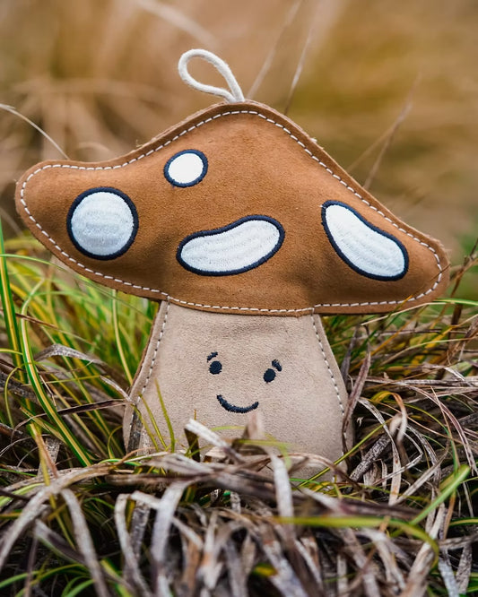 Chestnut the Mushroom Eco Dog Toy