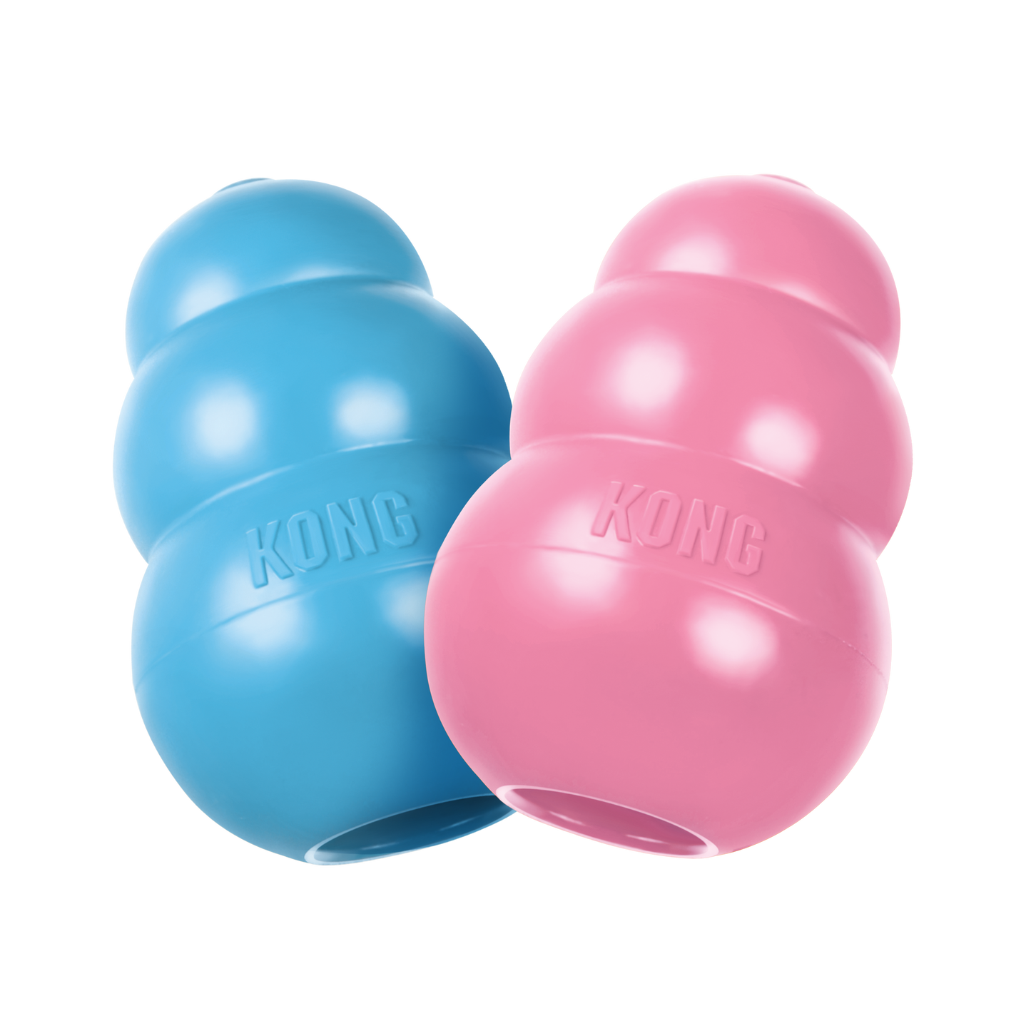 Kong puppy large