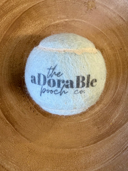 Adorable pooch tennis ball
