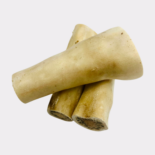 Beef Tail