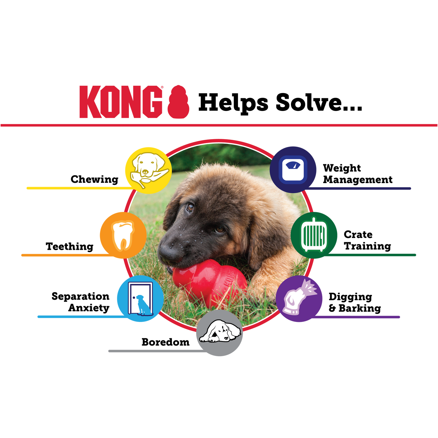 Kong classic