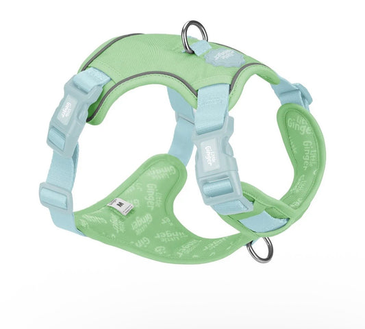 Little ginger control harness Spearmint