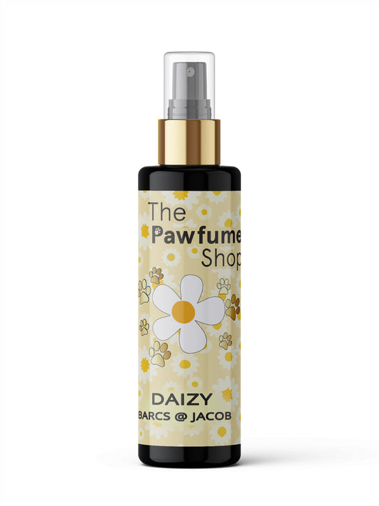 Daizy - Barcs @ Jacob Pawfume