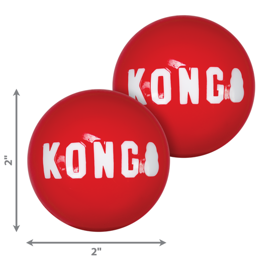 Kong signature balls 2 pk